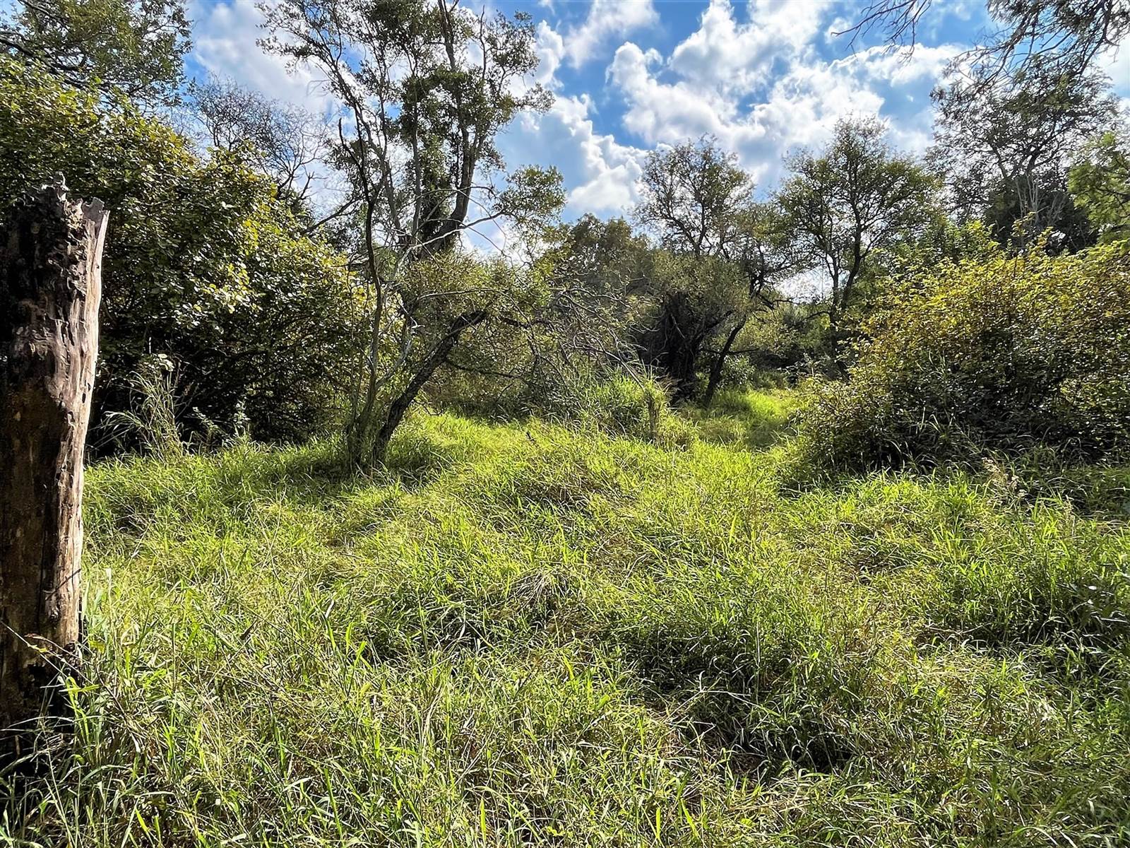 1 ha Land available in Hoedspruit photo number 6