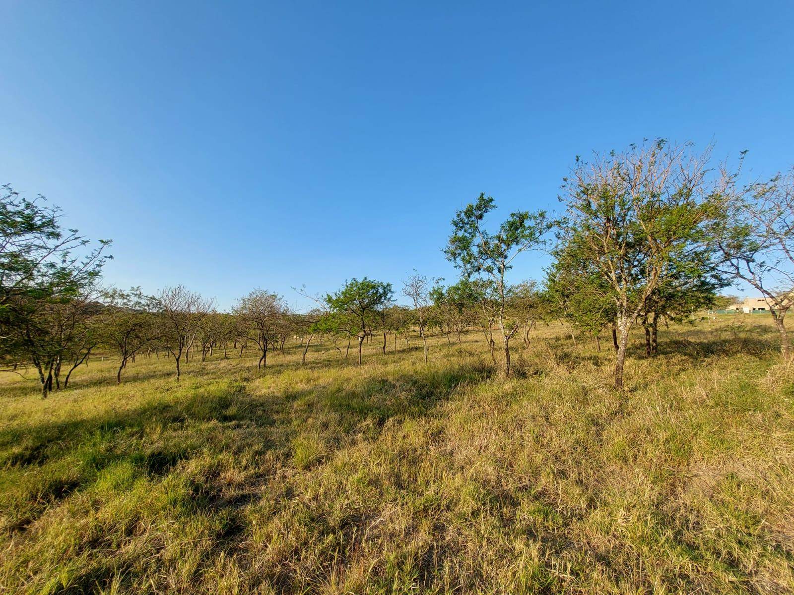1031 m² Land available in The Rest Nature Estate photo number 1