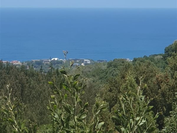 6 640 m² Land