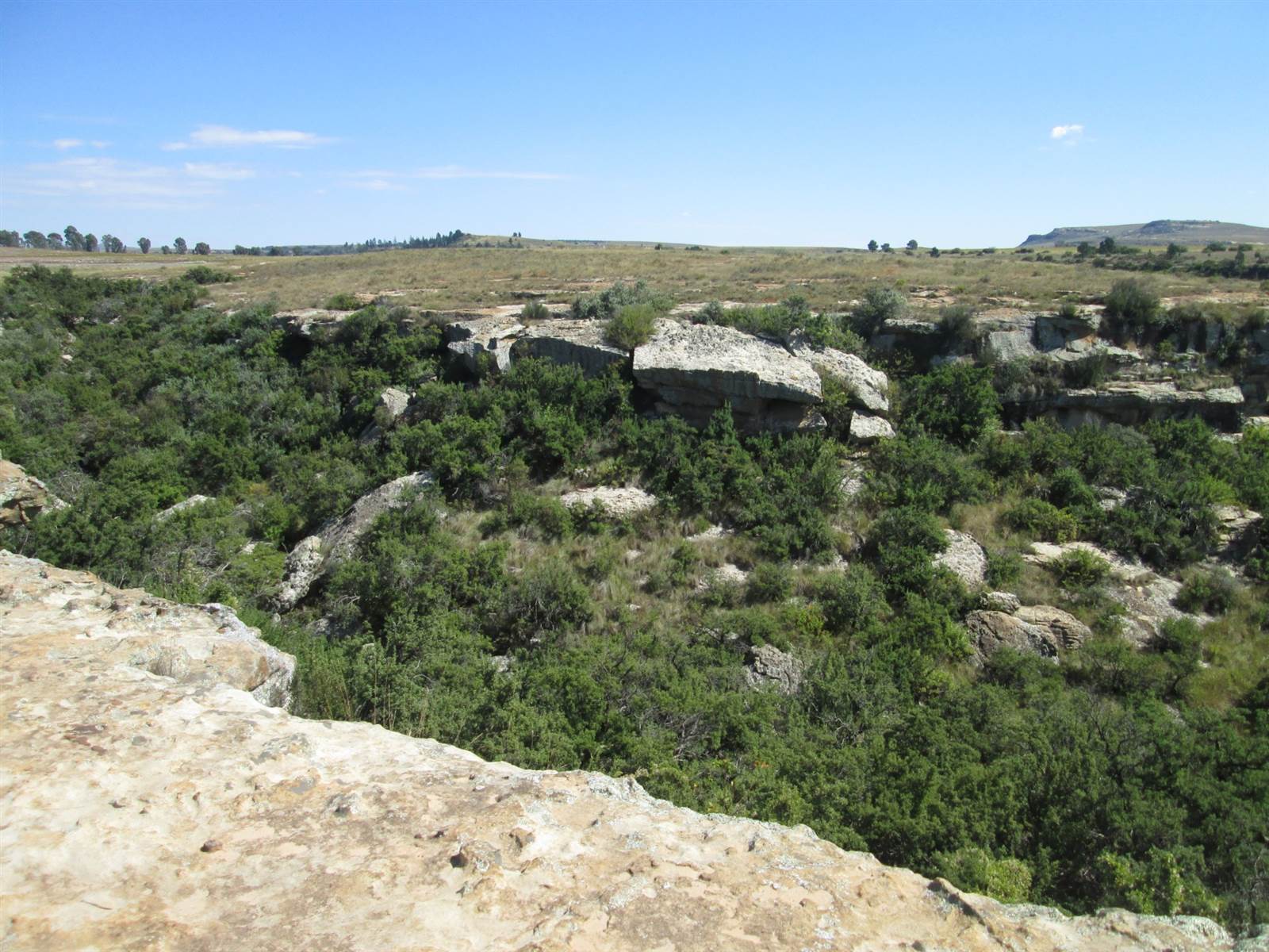 30 ha Land available in Clarens photo number 3