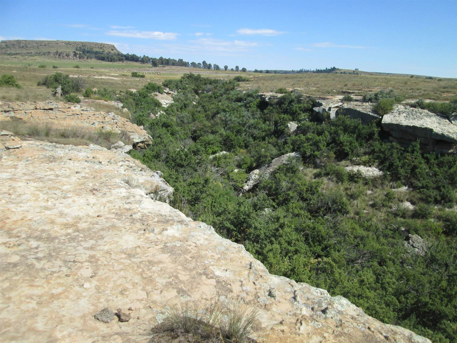 30 ha Land available in Clarens photo number 1