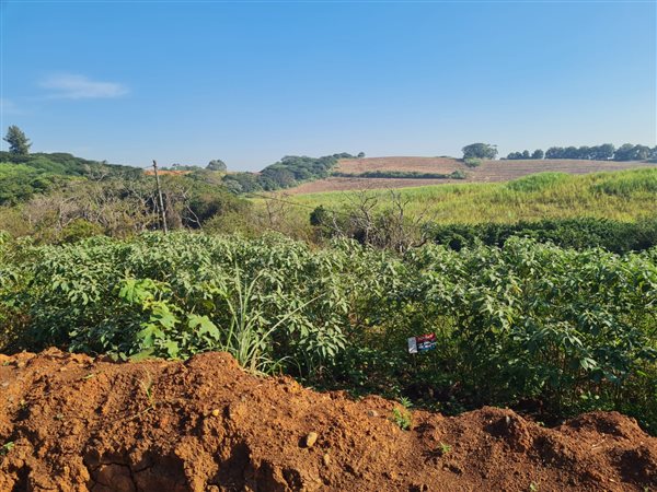 782 m² Land 782 m² Land