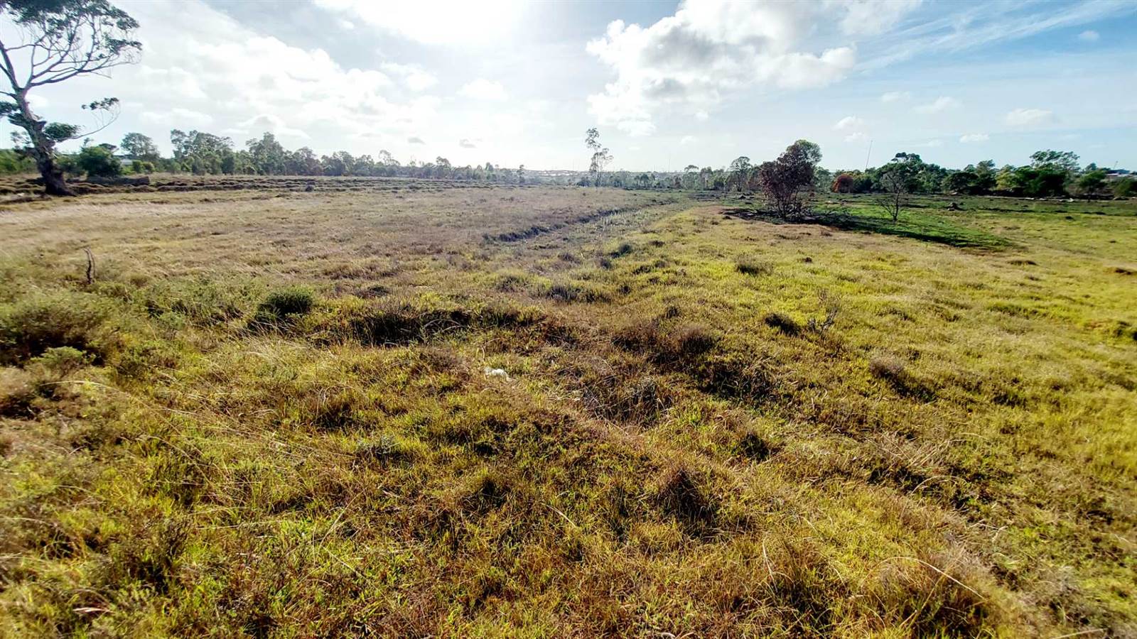 2 ha Land available in Greenbushes photo number 1