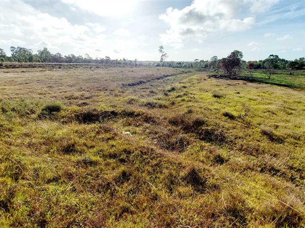 2 ha Land available in Greenbushes