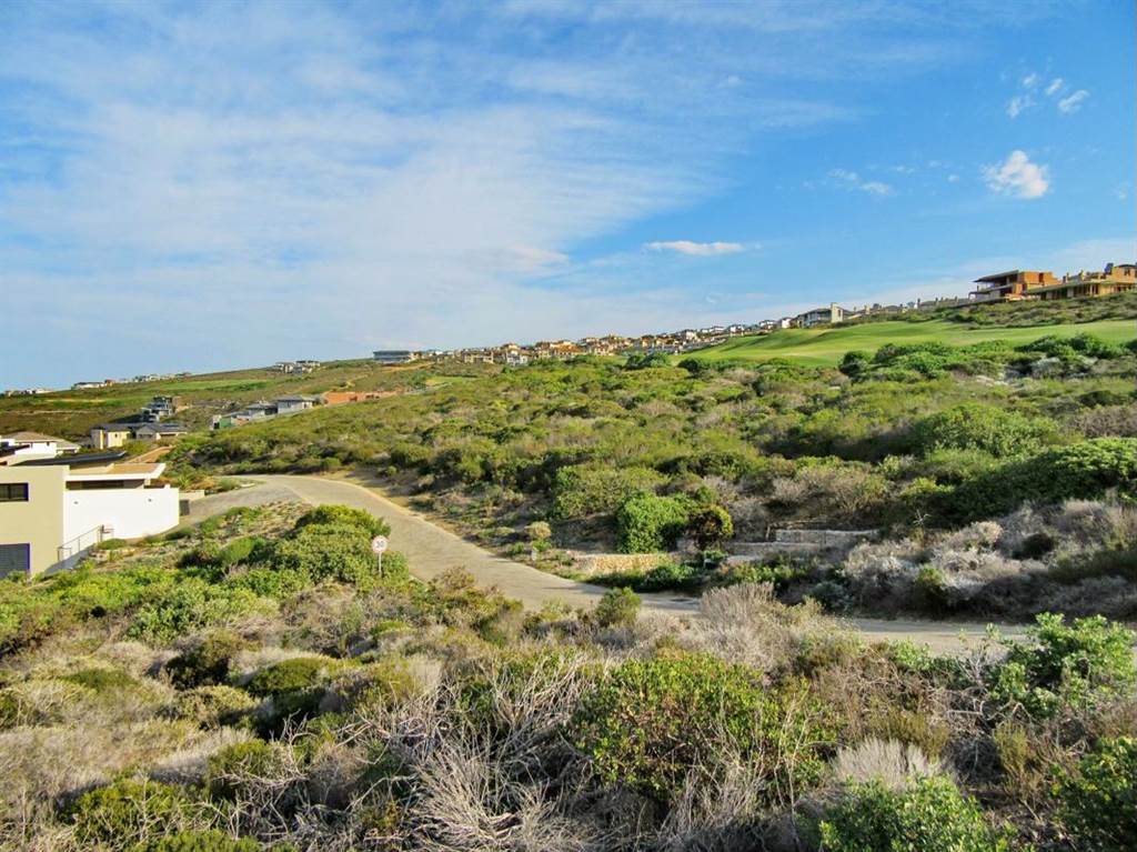 1198 m² Land available in Pinnacle Point Golf Estate photo number 4