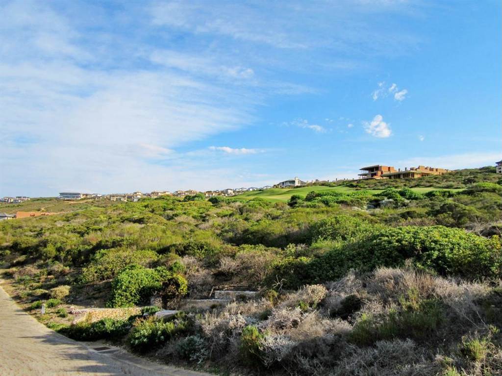 1198 m² Land available in Pinnacle Point Golf Estate photo number 6