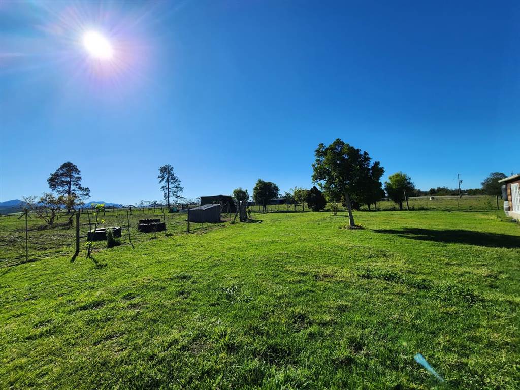5 ha Smallholding in Wilderness photo number 7