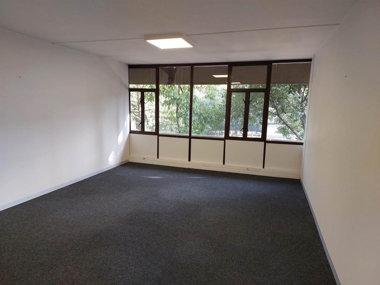 240  m² Commercial space in Ferndale photo number 4