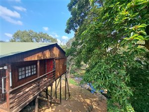 3 Bed House in Escombe