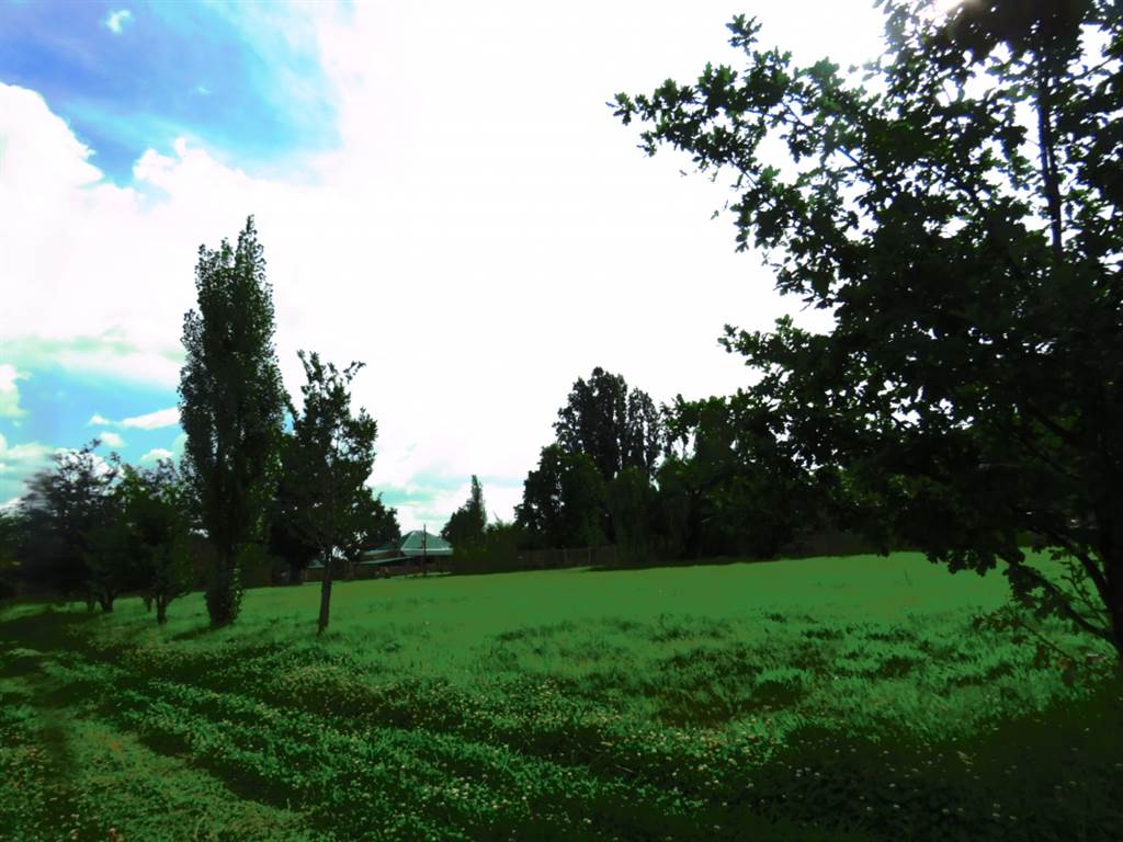 1495 m² Land available in Fouriesburg photo number 1