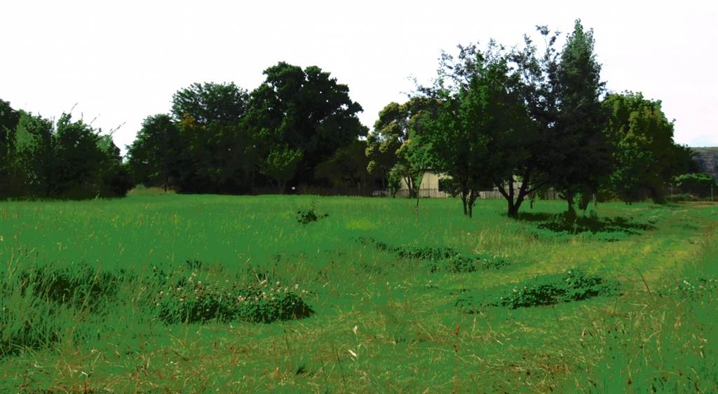 1495 m² Land available in Fouriesburg photo number 6