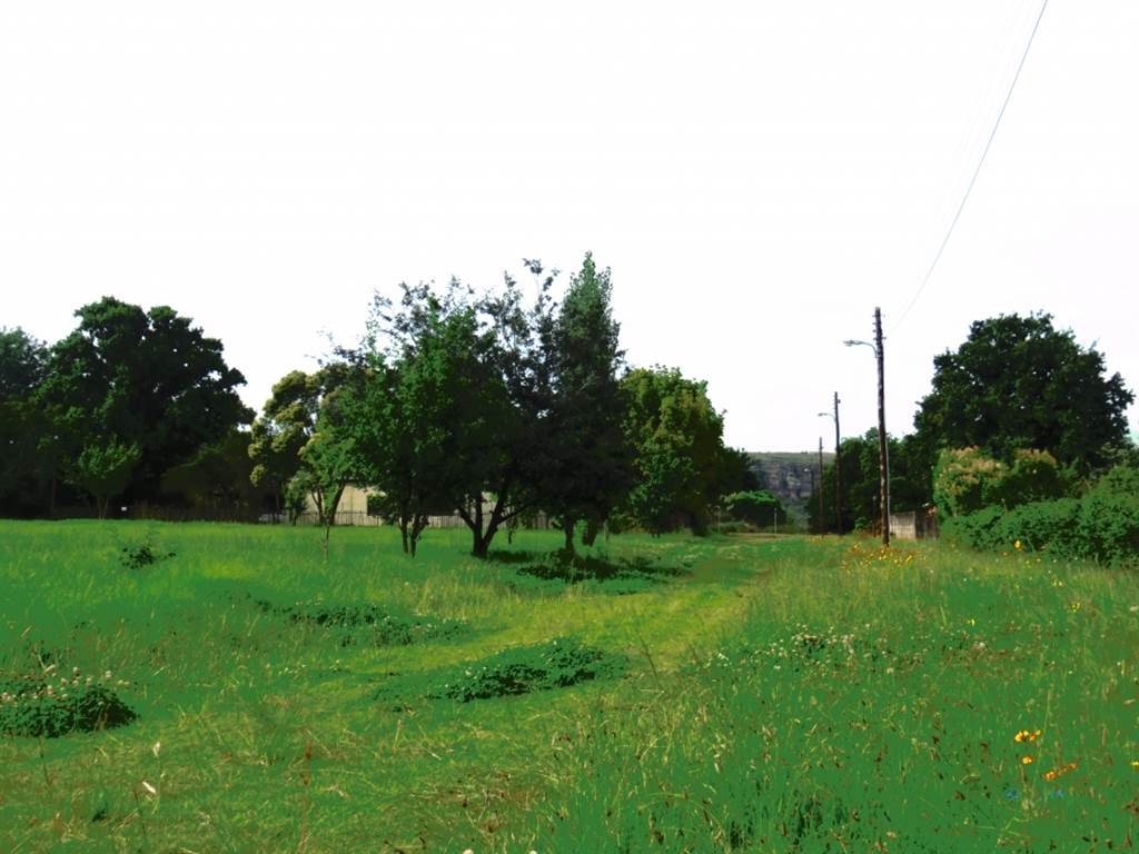 1495 m² Land available in Fouriesburg photo number 7