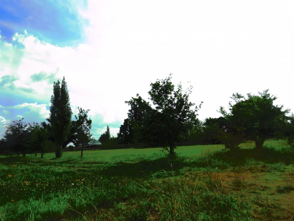 1495 m² Land available in Fouriesburg photo number 10