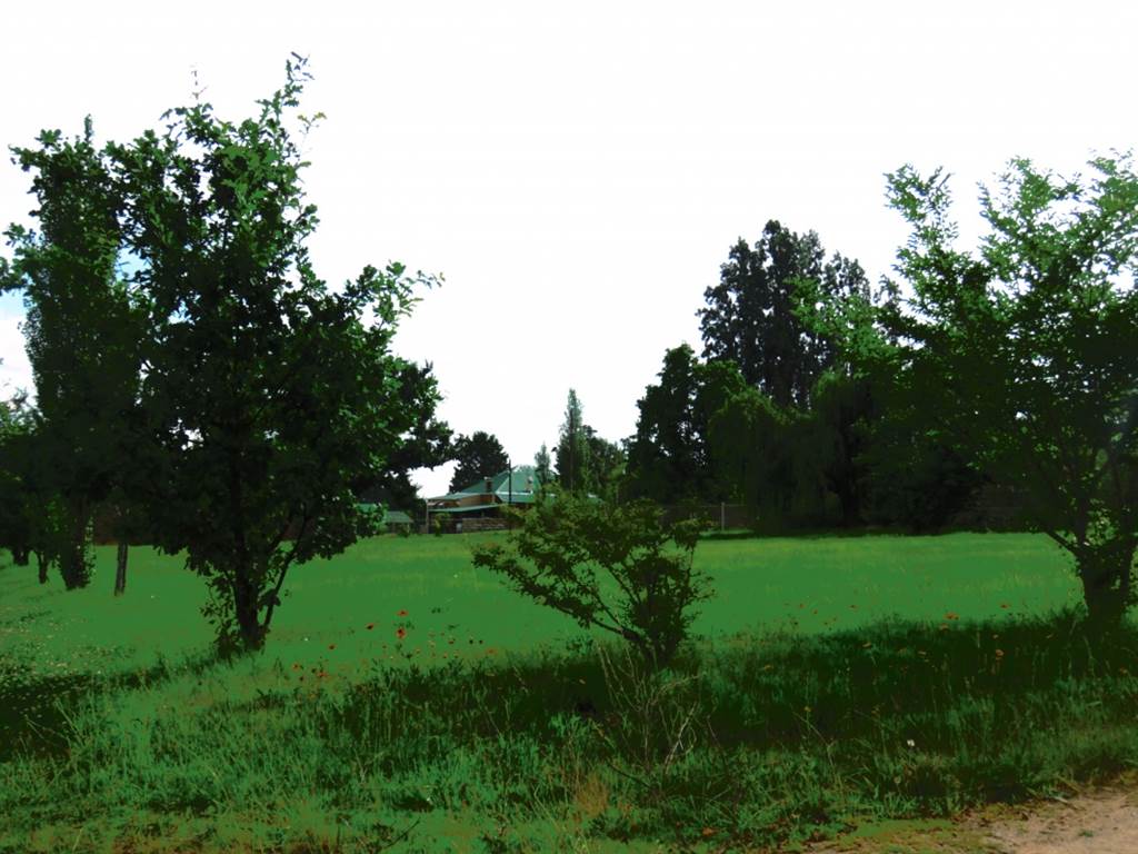 1495 m² Land available in Fouriesburg photo number 9