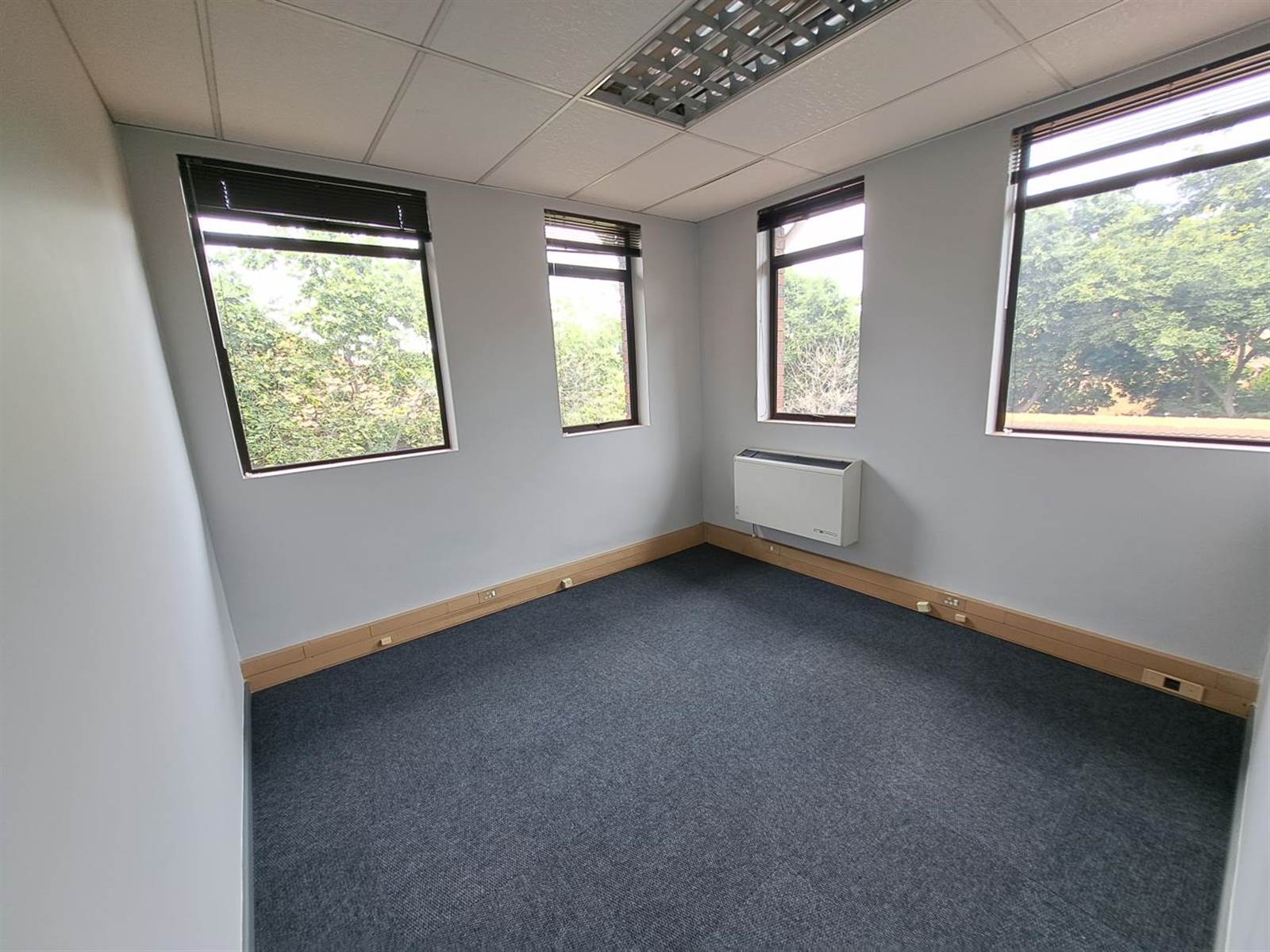 208  m² Office Space in Lyttelton photo number 2