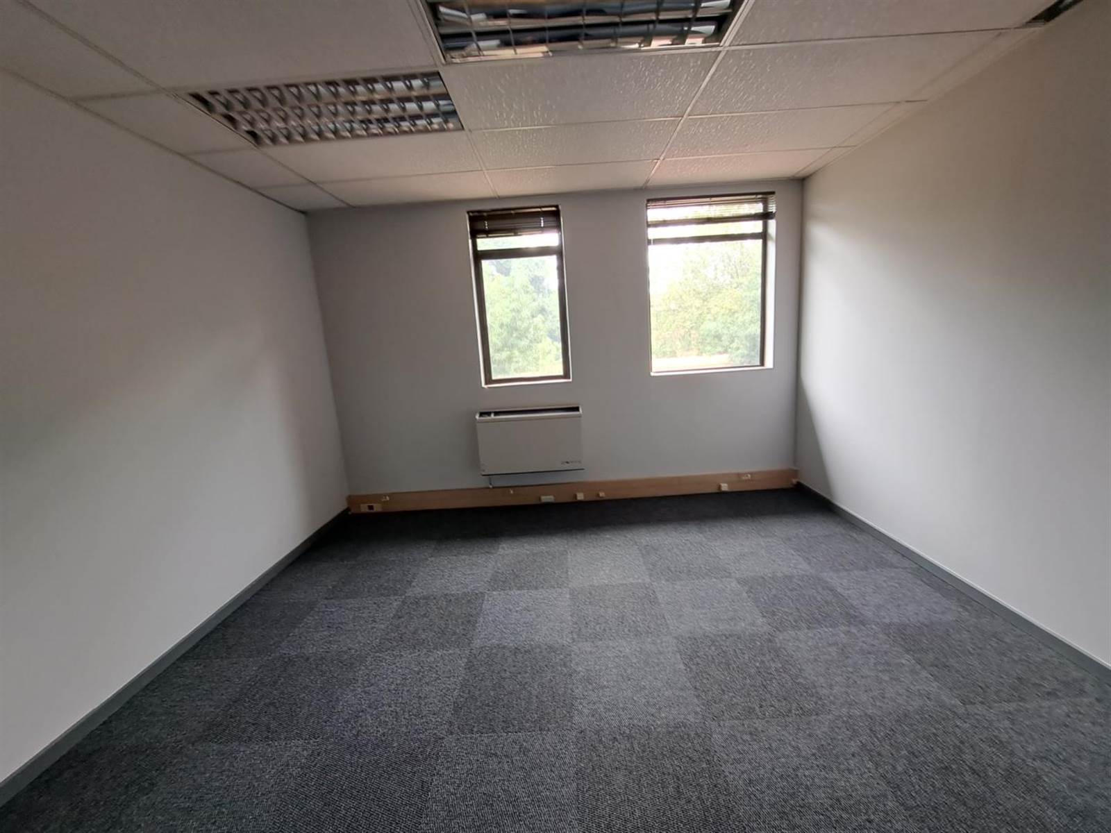 208  m² Office Space in Lyttelton photo number 4