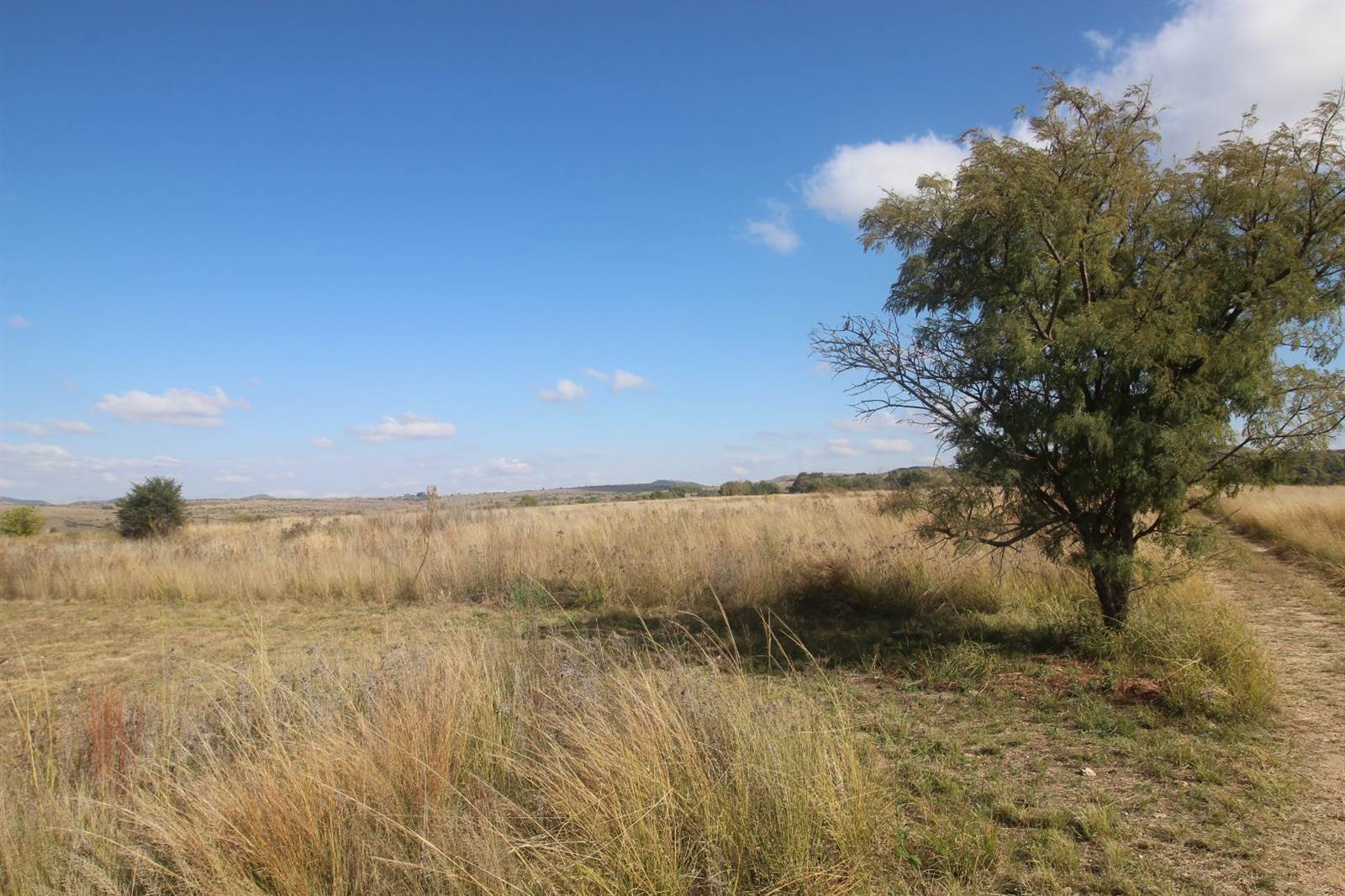 58.2 ha Land available in Lanseria and surrounds photo number 24