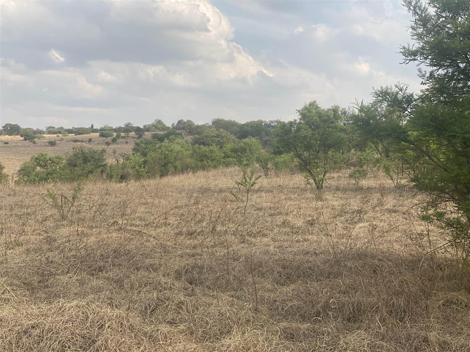 9 ha Land available in Zwavelpoort photo number 12