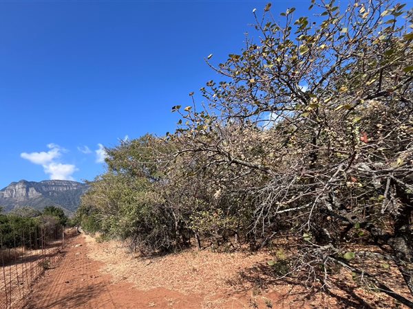 2 684 m² Land