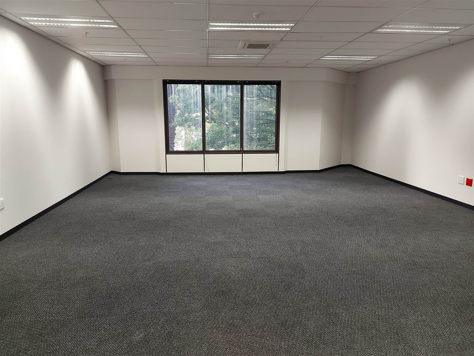 122  m² Commercial space in Parktown photo number 5