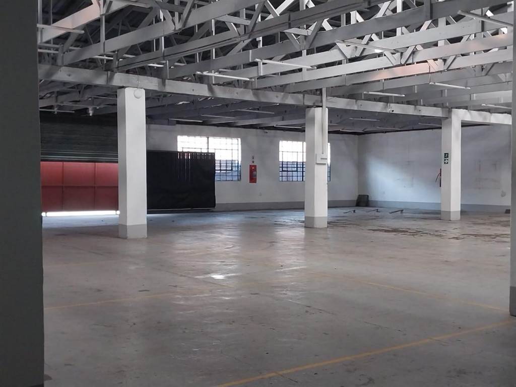 990  m² Industrial space in Ophirton photo number 10