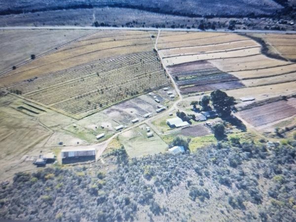 215 ha Farm