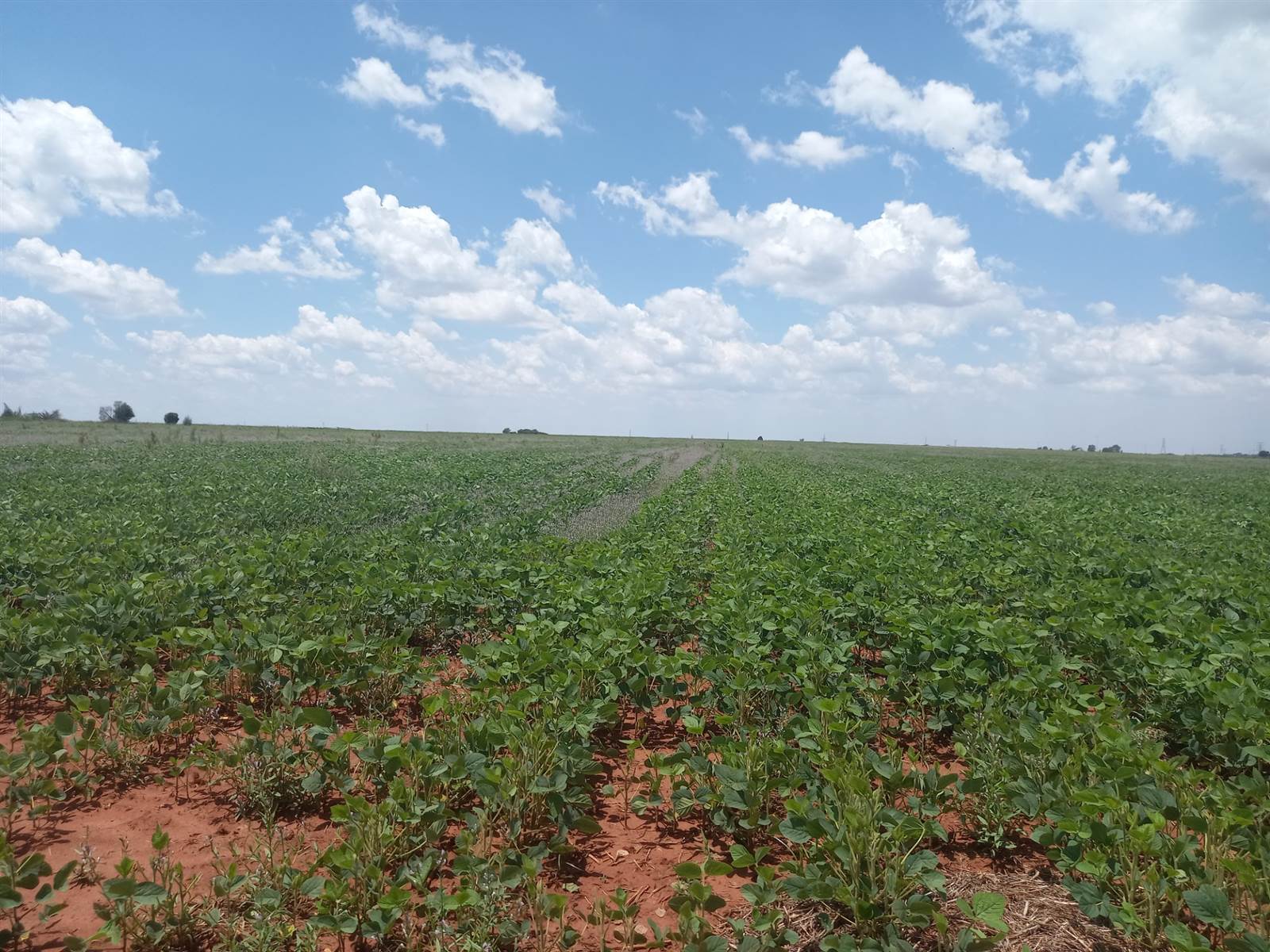 20 ha Land available in Leeuwfontein photo number 15