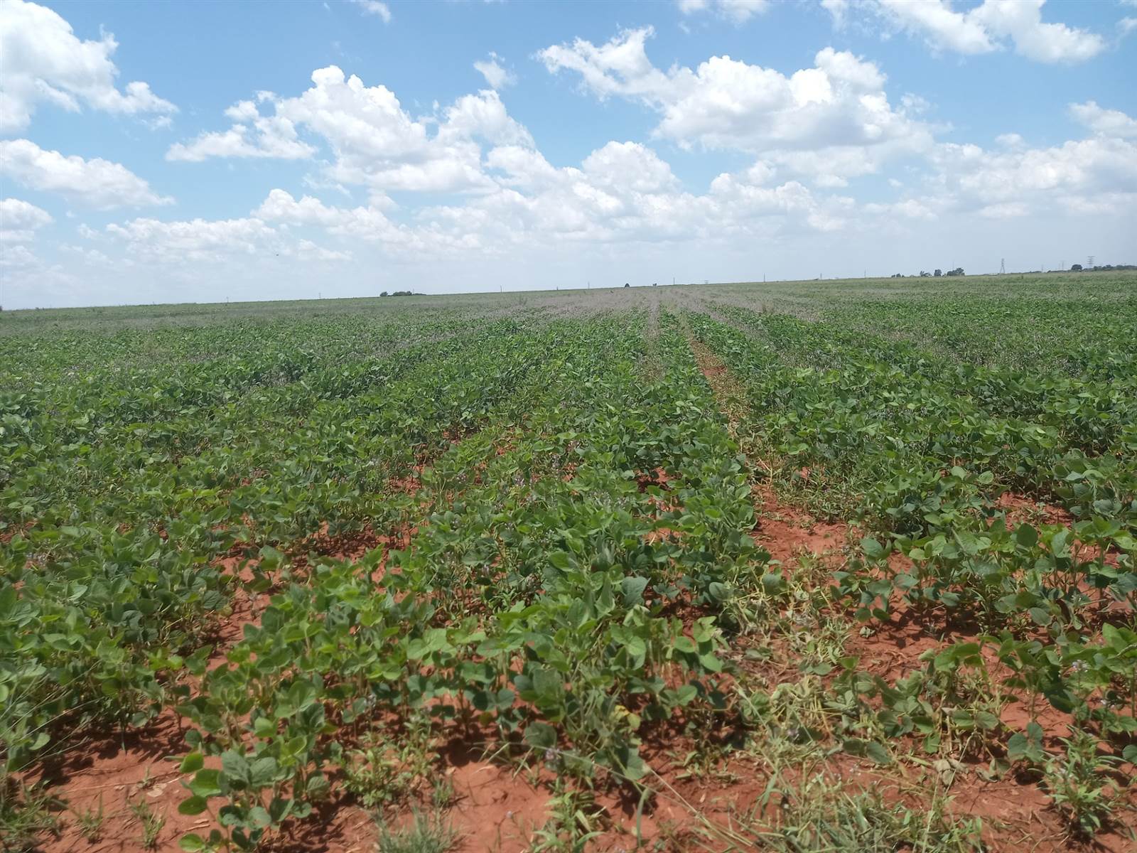 20 ha Land available in Leeuwfontein photo number 13