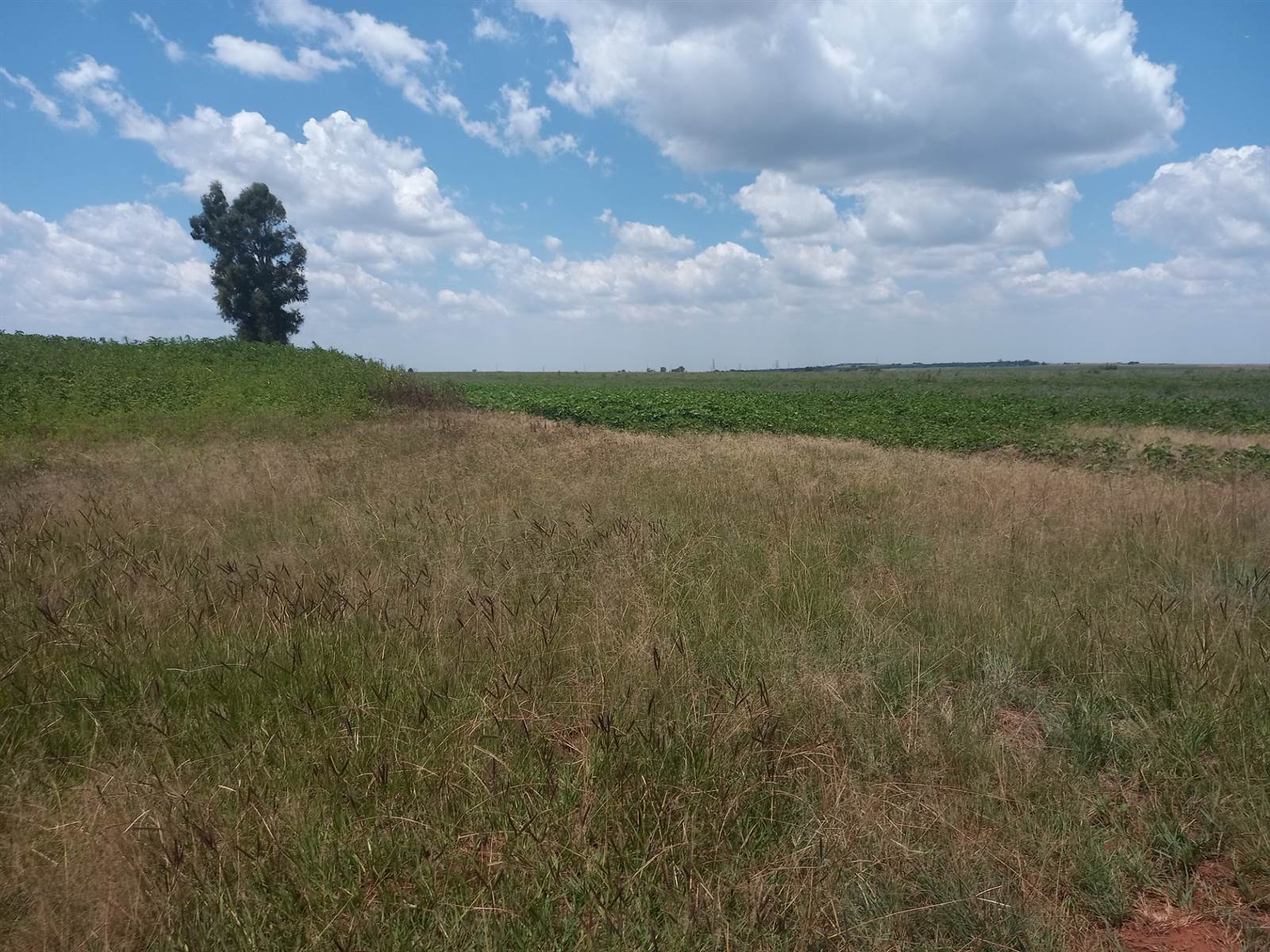 20 ha Land available in Leeuwfontein photo number 16
