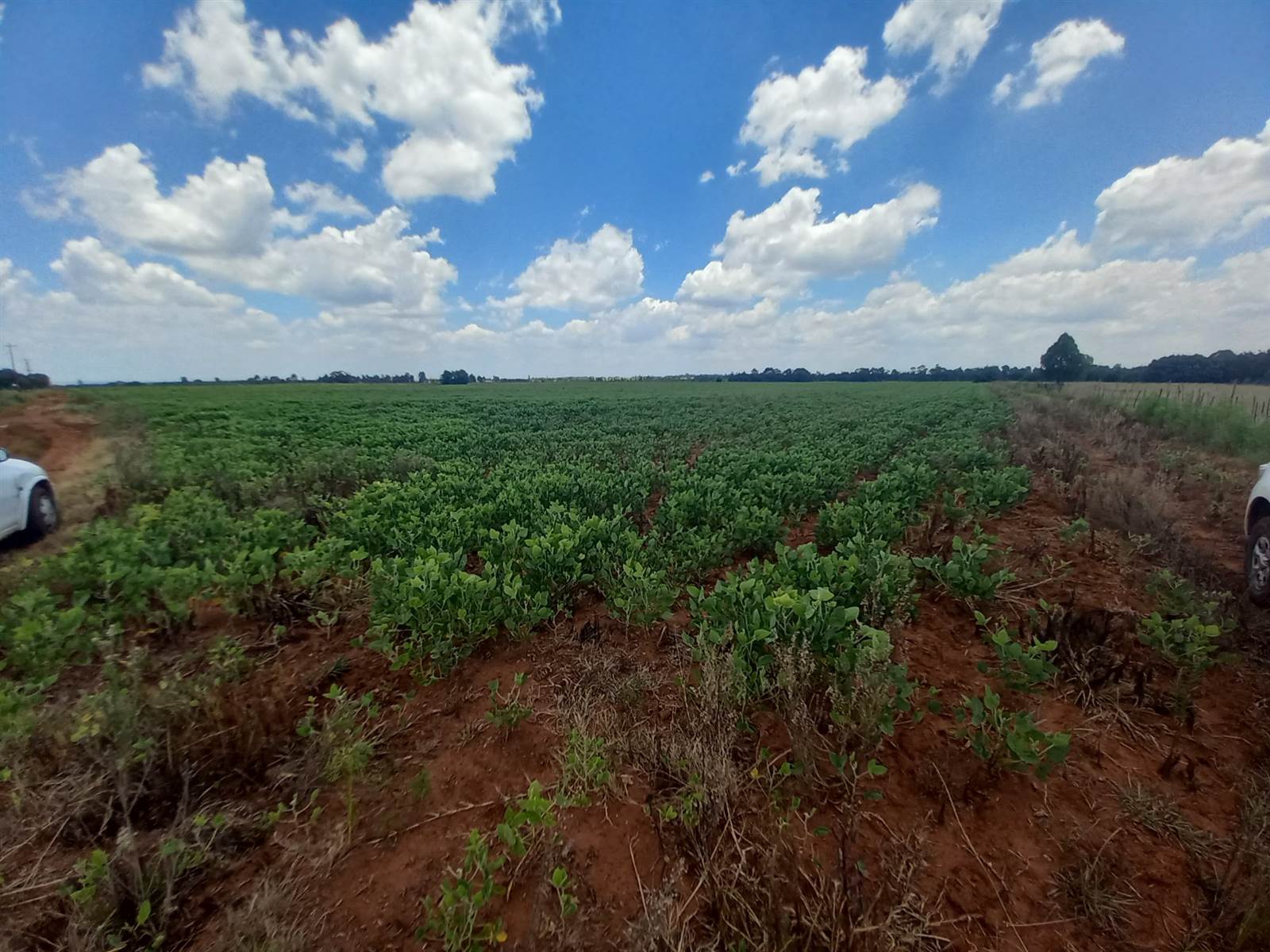 20 ha Land available in Leeuwfontein photo number 1