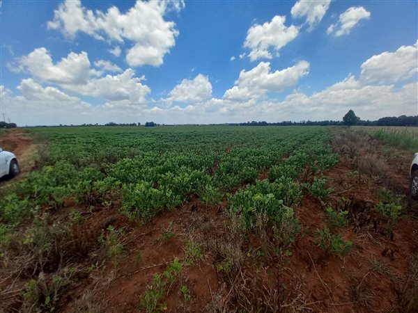 20 ha Land available in Leeuwfontein