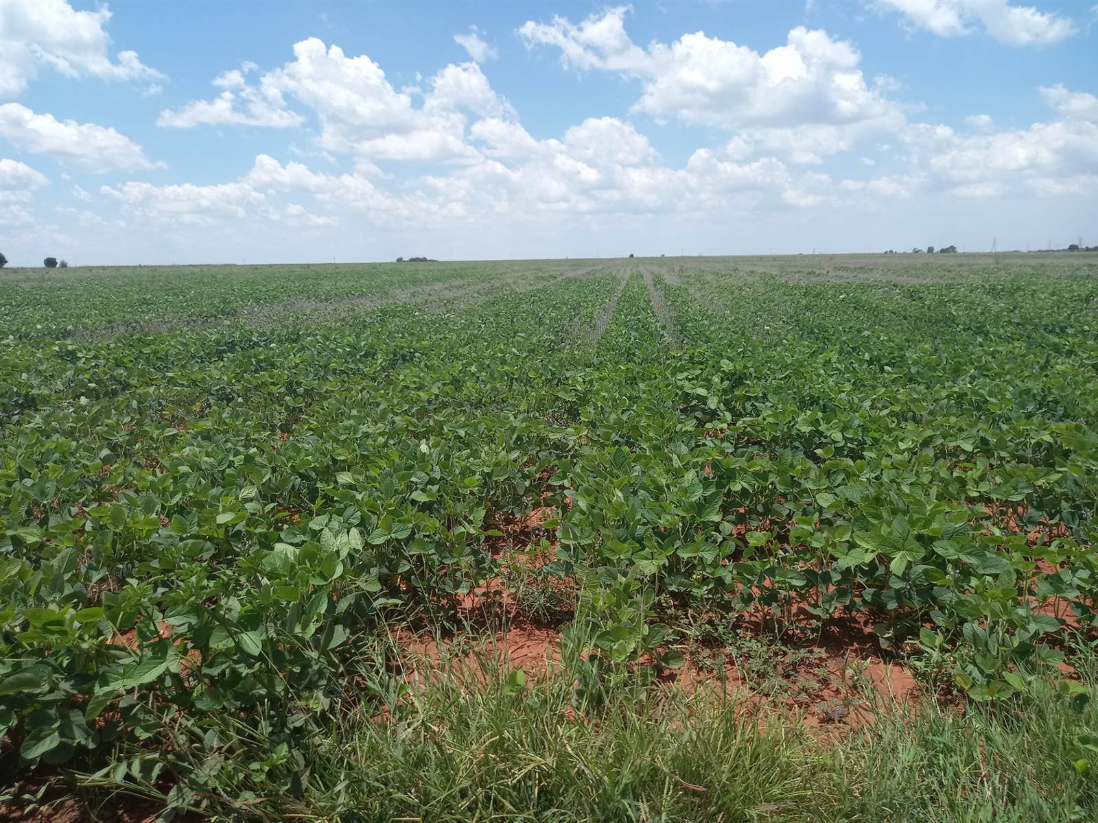 20 ha Land available in Leeuwfontein photo number 14
