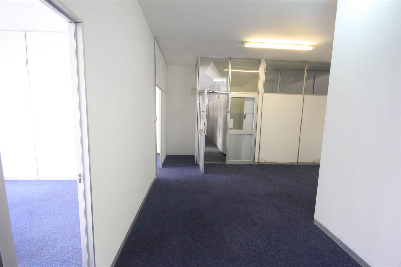 116  m² Commercial space in Greyville photo number 18