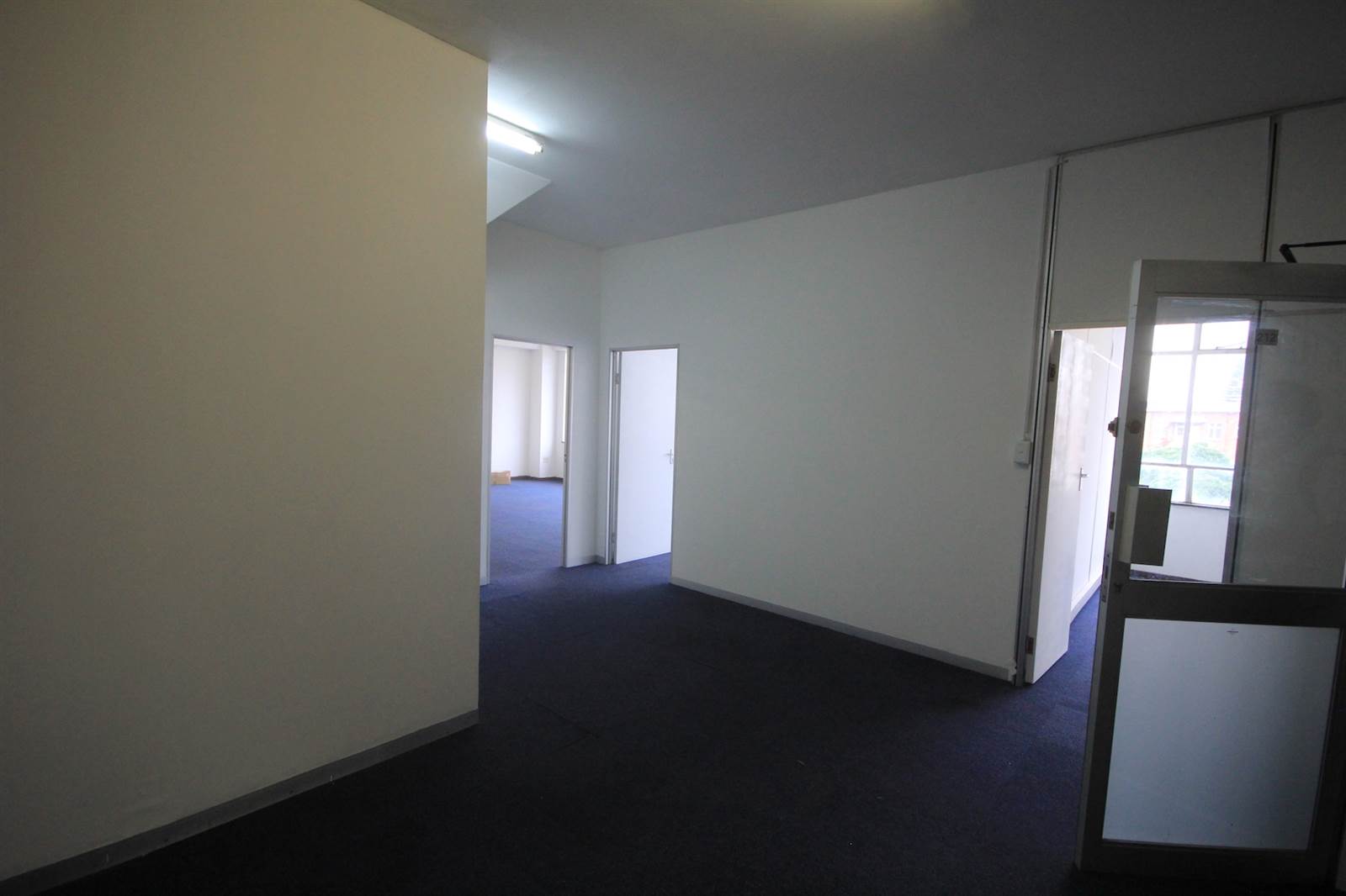 116  m² Commercial space in Greyville photo number 4