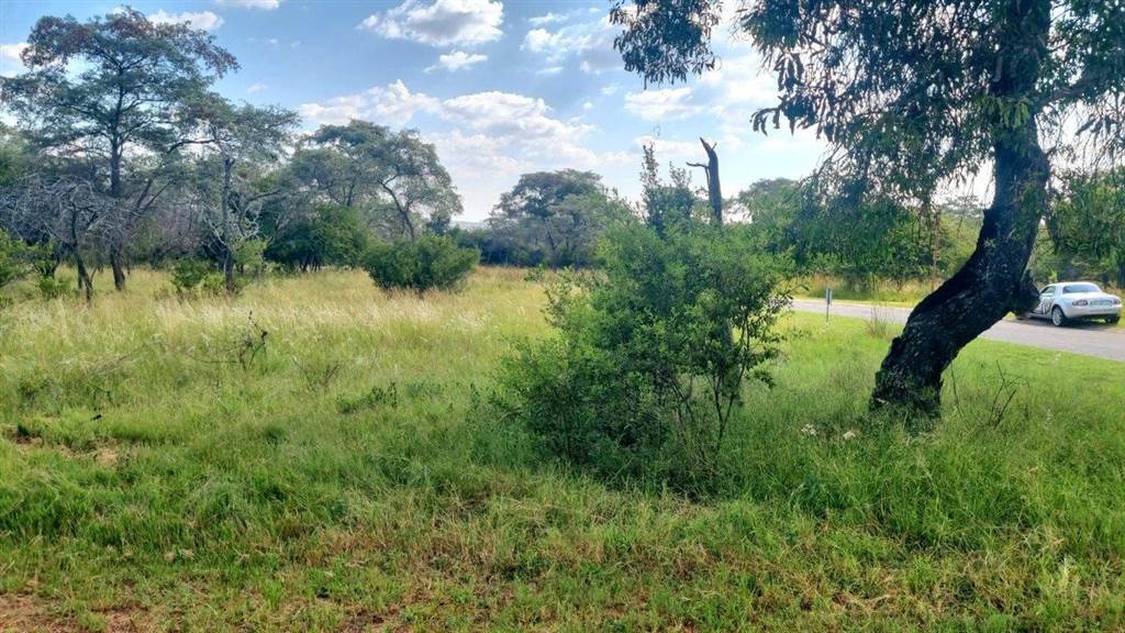 1200 m² Land available in Koro Creek Golf Estate photo number 12