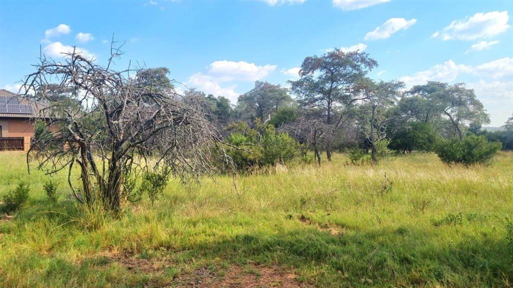 1200 m² Land available in Koro Creek Golf Estate photo number 11