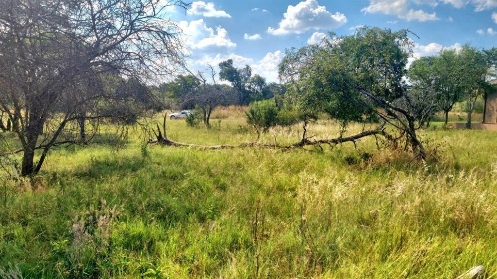 1200 m² Land available in Koro Creek Golf Estate photo number 7