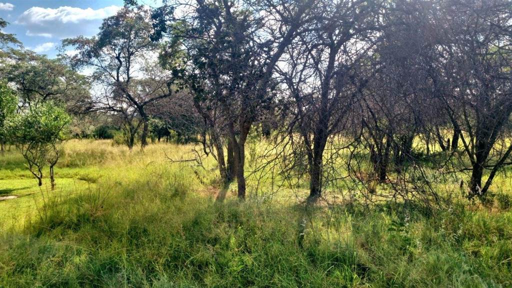 1200 m² Land available in Koro Creek Golf Estate photo number 8