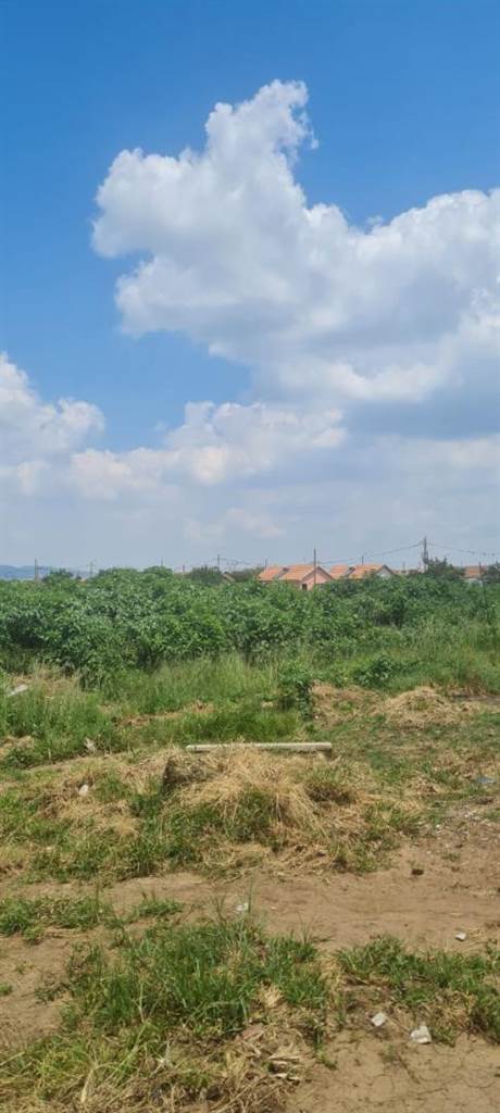 200 m² Land available in Palmridge photo number 9