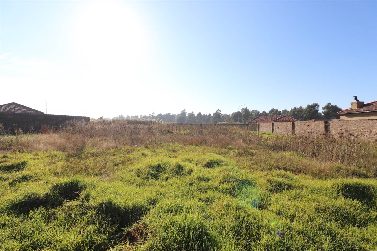 880 m² Land available in Krugersrus photo number 6
