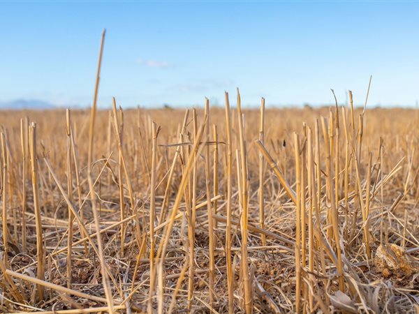 198.8 ha Farm 198.8 ha Farm