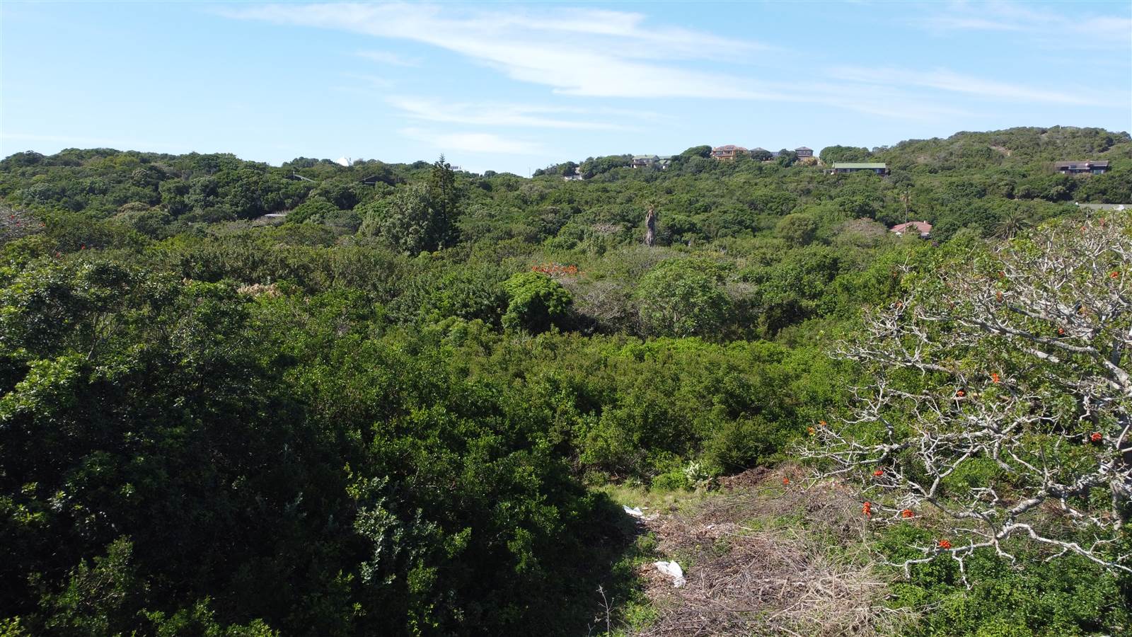 6097 m² Land available in Port Alfred photo number 4