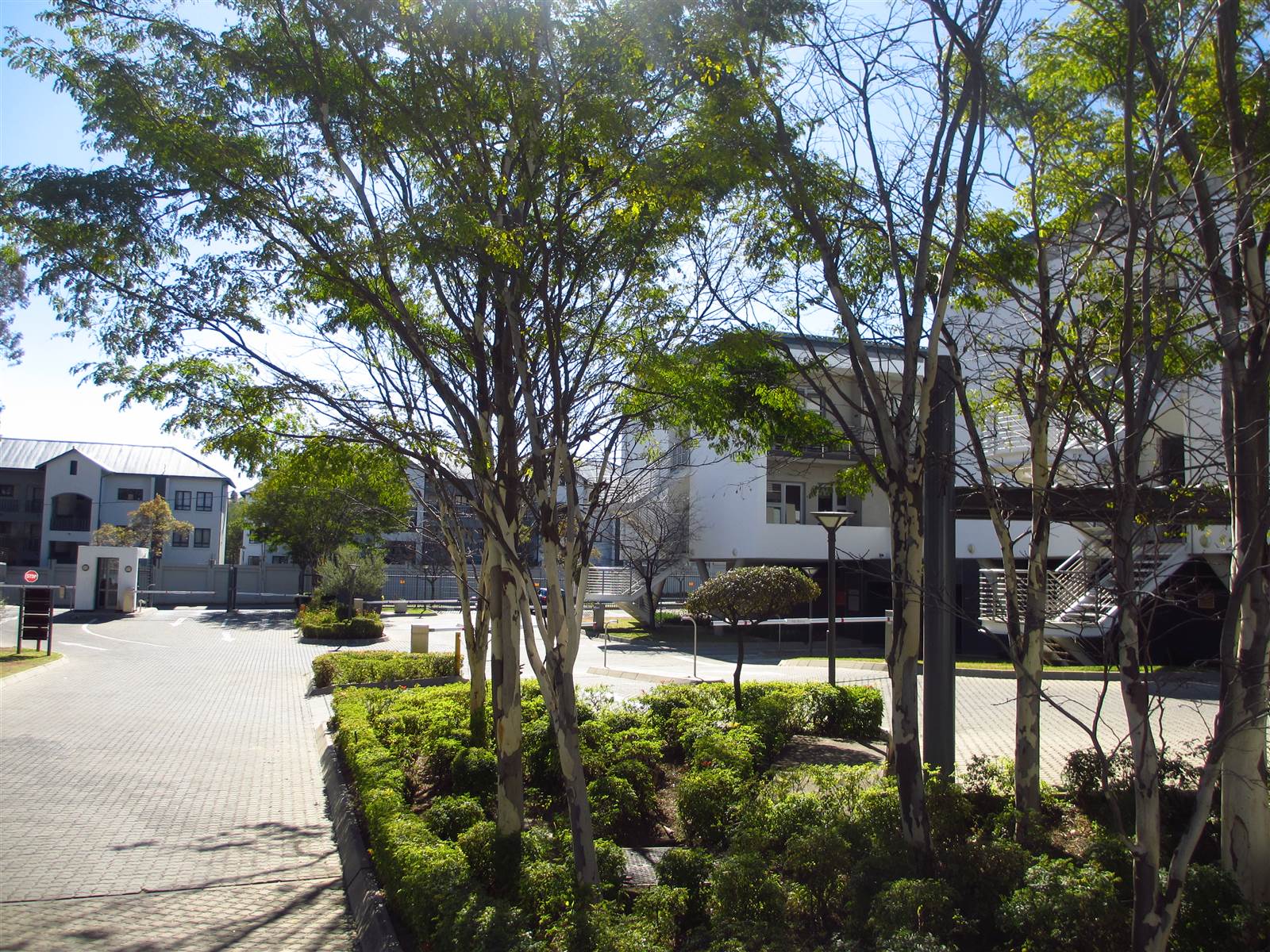 232  m² Commercial space in Fourways photo number 21