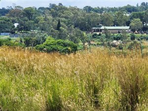 20 ha Land available in Bultfontein AH