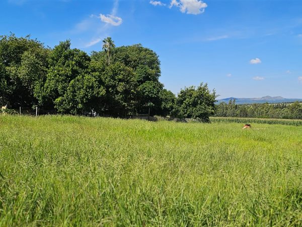 6.6 ha Farm in Rustenburg Rural