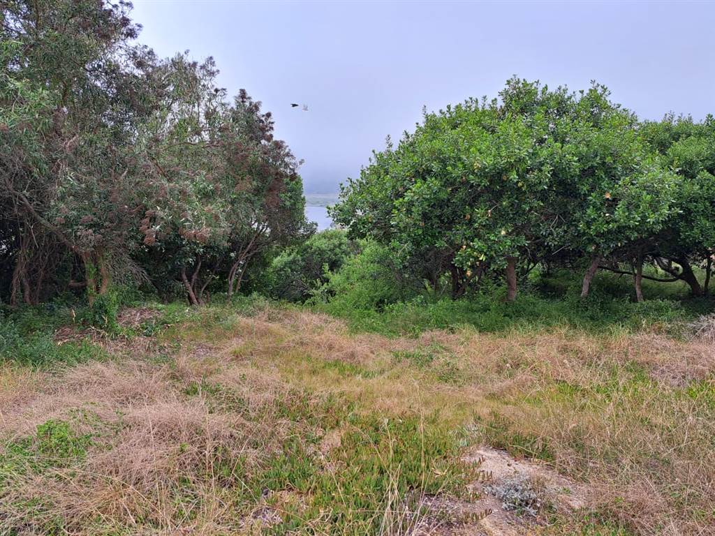 1168 m² Land available in Great Brak River photo number 1