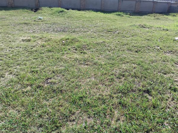 448 m² Land 448 m² Land