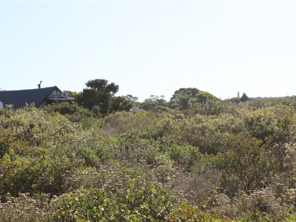 1247 m² Land available in Jeffreys Bay