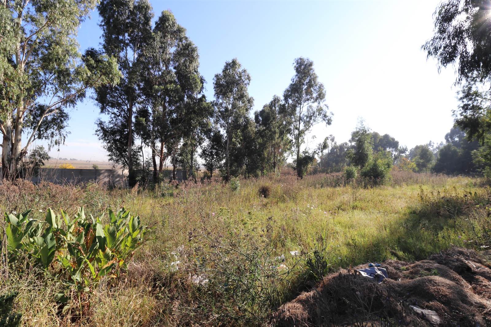 1178 m² Land available in Krugersrus photo number 6