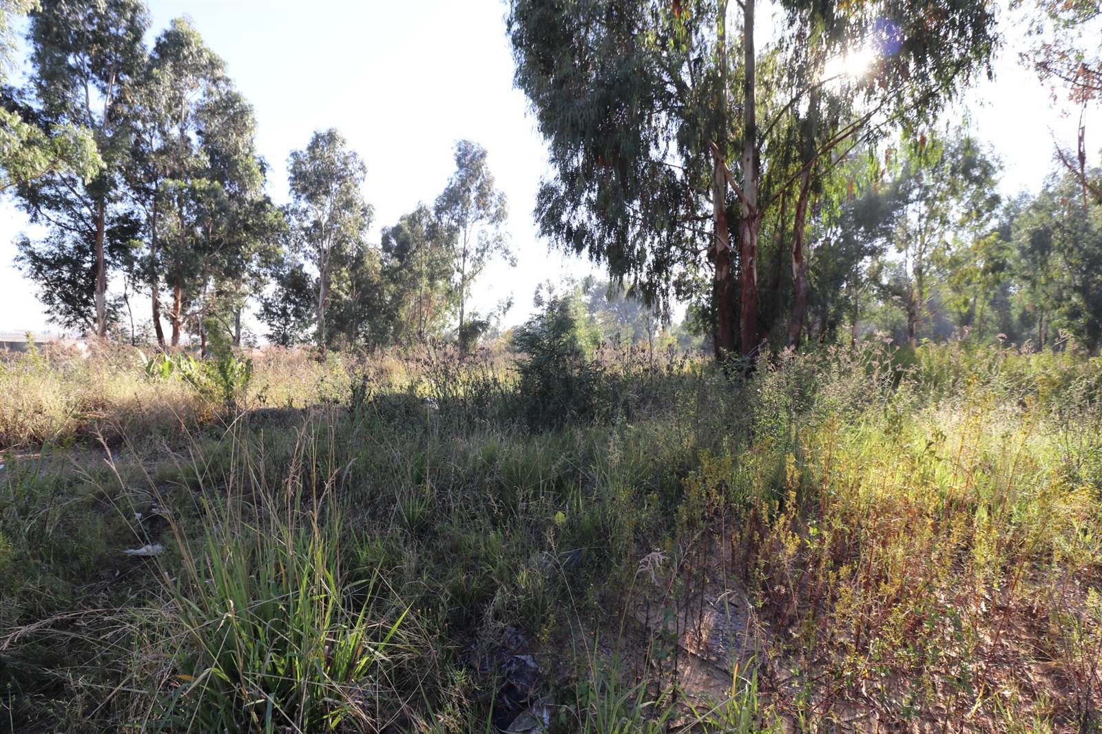 1178 m² Land available in Krugersrus photo number 4